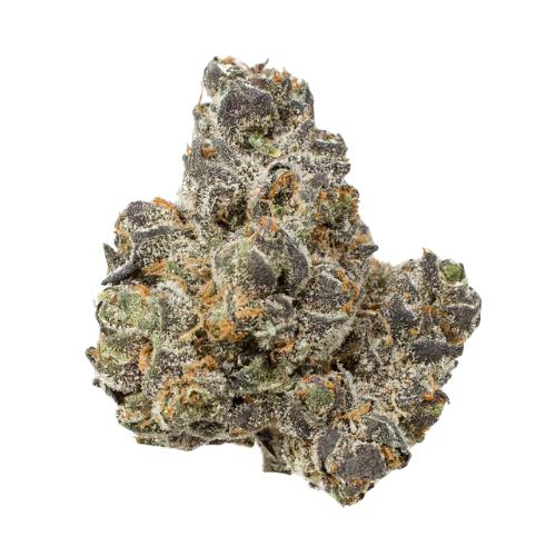 Apple Fritter