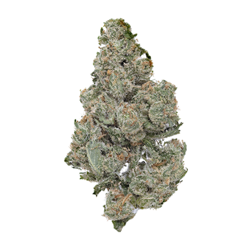 Permafrost OG