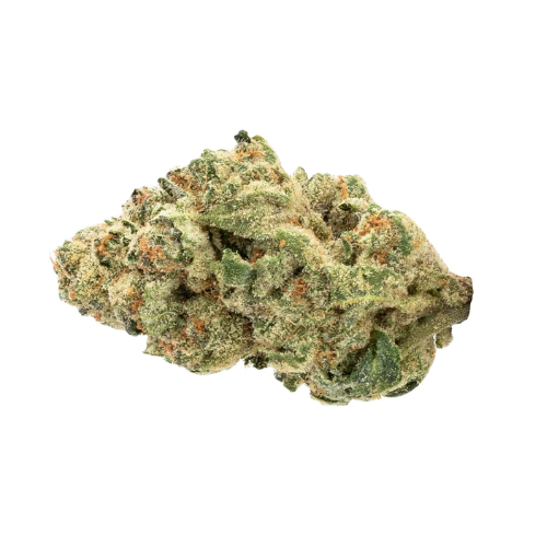Critical Haze