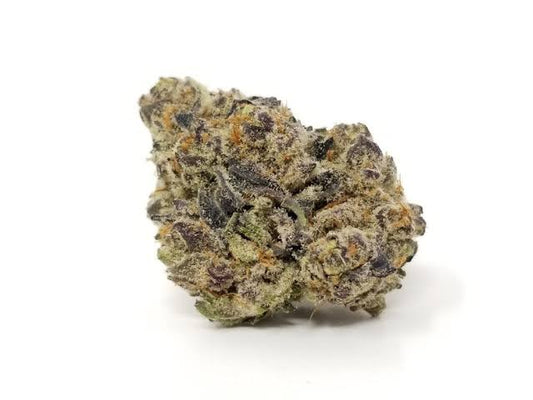 Mimosa